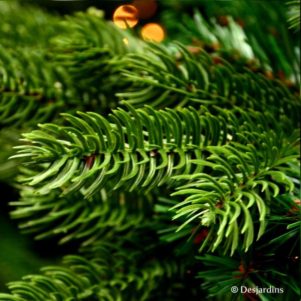  Sapin artificiel "Sherwood Spruce Green" - 215cm