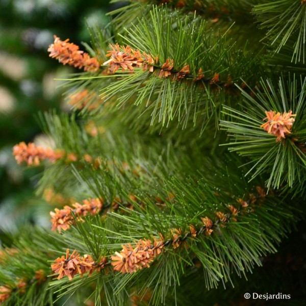 Sapin artificiel "Pistil Pine" - 185cm