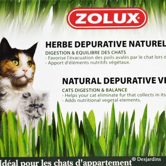 Herbe a chat ZOLUX Desjardins.fr