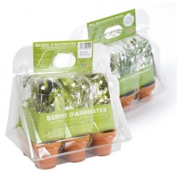 Mini serre - 6 plantes aromatiques bio