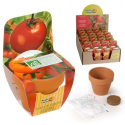Mini kit plantation - Tomate cerise bio