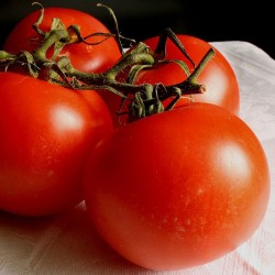 Tomate Fournaise - Barquette de 6