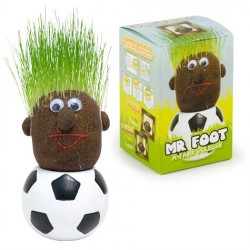 Monsieur Foot