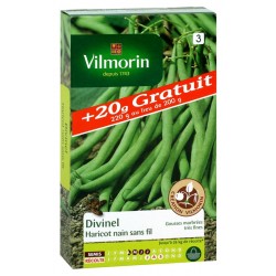 Haricot nain "Divinel" - 200g