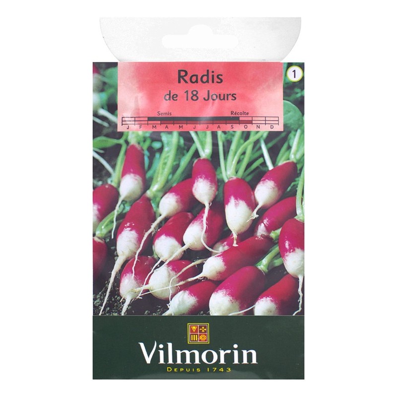 Radis de 18 jours - grand sachet