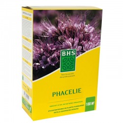 Phacélie BHS - 500g