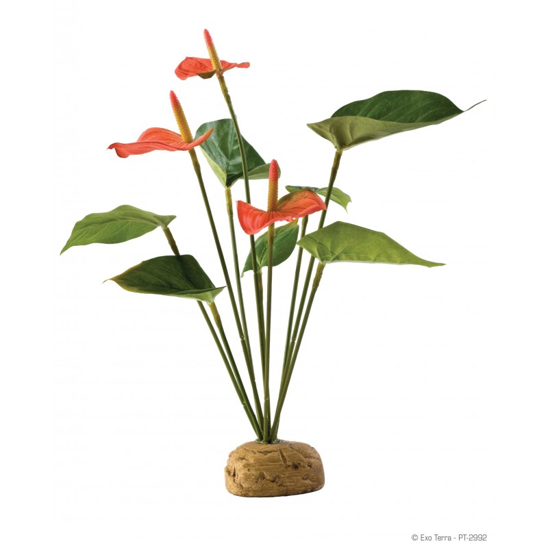 Anthurium artificiel Exo Terra Anthurium artificiel Exo Terra