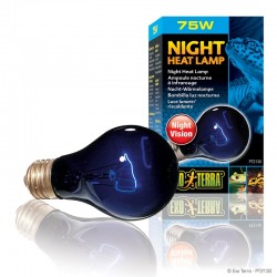 Ampoule nocturne Exo Terra "Night Glo" - 75W