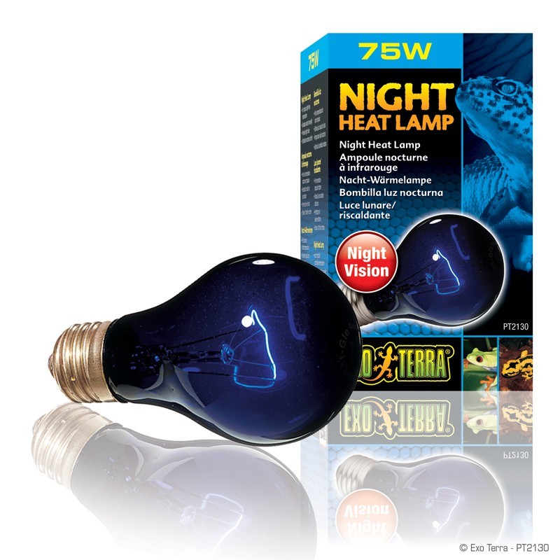 Ampoule nocturne Exo Terra "Night Glo" - 75W Ampoule nocturne Exo Terra "Night Glo" - 75W