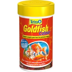 GOLDFISH COLOUR 100 ML