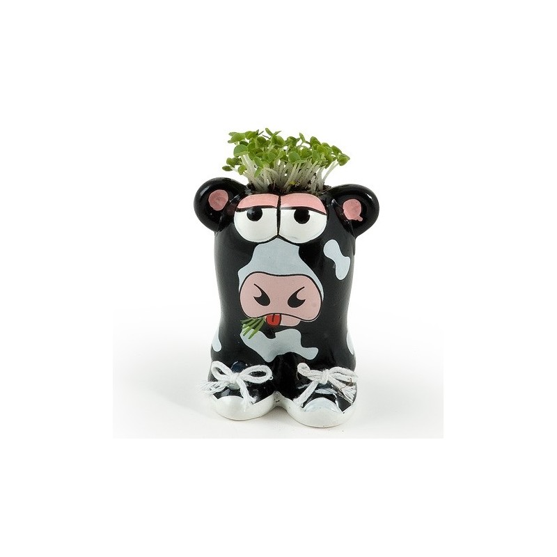 Munakuppi - Vache Munakuppi - Vache