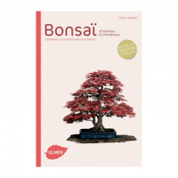 Bonsaï d'intérieur et d'extérieur - Nouvelle édition