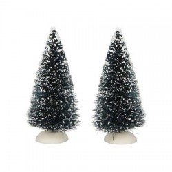 Arbres "Bristle Trees"...