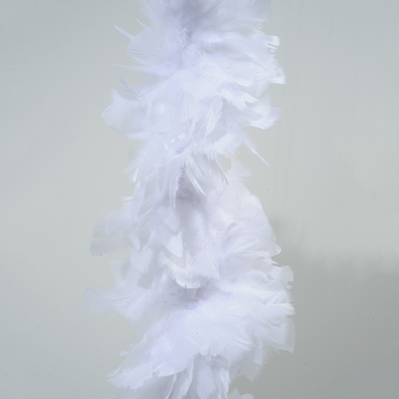 Boa en plumes blanc 