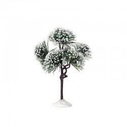 MOUNTAIN PINE MEDIUM - LEMAX