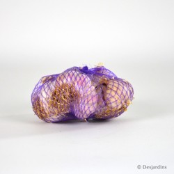 Ail CLISSON "Rose de Lautrec" - 250g - 50/70