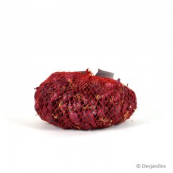 Oignon rouge CLISSON "Red Baron" - 500g - 14/21