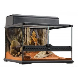 Terrarium naturel "Low"-...