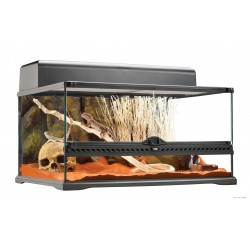 Terrarium naturel "Low" -...