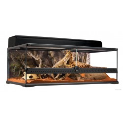 Terrarium naturel "Low" -...