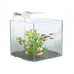 Nano aquarium équipé Ciano...