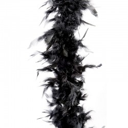 Guirlande de plumes -...