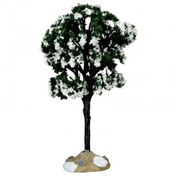 Arbre "Balsam Fir Tree,...