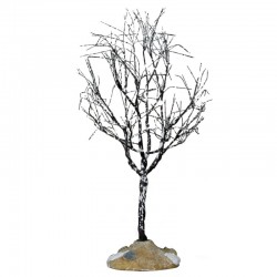 Arbre "Butternut Tree,...