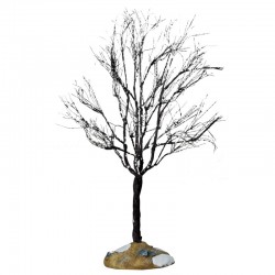 Arbre "Butternut Tree,...