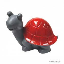 Tortue "petit-modèle" -...
