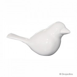 Oiseau blanc - DESJARDINS