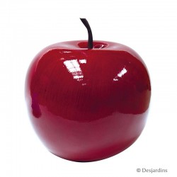 Pomme "moyen modèle" -...
