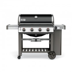 Barbecue gaz "Genesis II...
