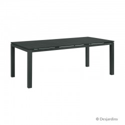 Table Cardiff 200x100 grise...