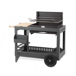Barbecue au charbon...