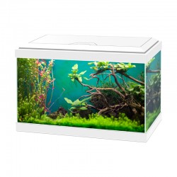 Aquarium équipé Ciano "Aqua...