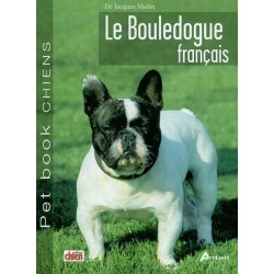 Bouledogue Français