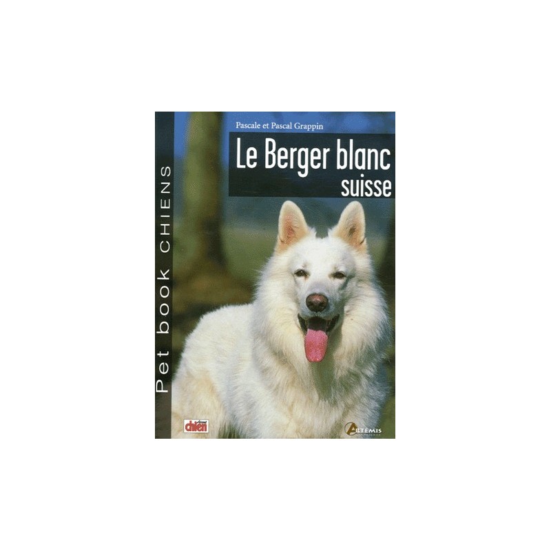 Berger blanc suisse