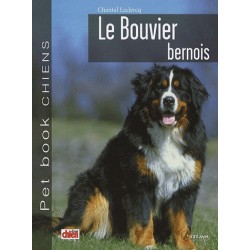 Bouvier Bernois