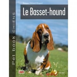 Basset Hound