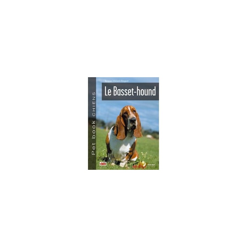 Basset Hound