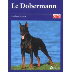 Dobermann