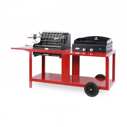 Mixte barbecue + plancha...