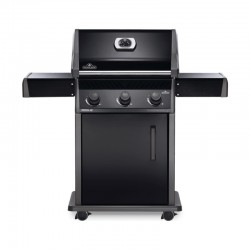 Barbecue gaz "Rogue...