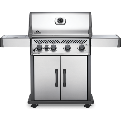 Barbecue gaz "Rogue...