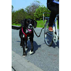 Biker-set pour grands chiens - TRIXIE 