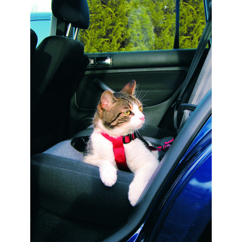 Harnais pour voiture pour chats 20–50cm/15mm rou - TRIXIE 