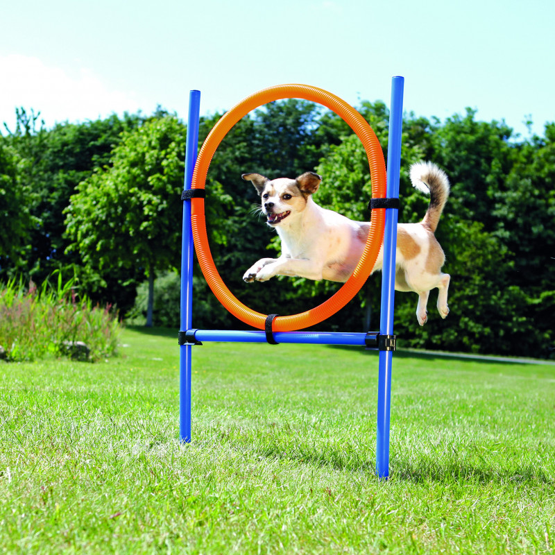 Dog activity anneau agility 115xø3cm.ø65cm bleu/ - TRIXIE 