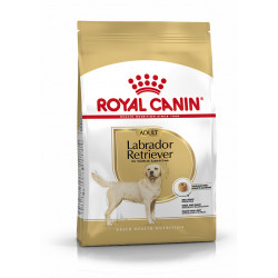Labrador Adult breed health nutrition 12kg - ROYAL CANIN 