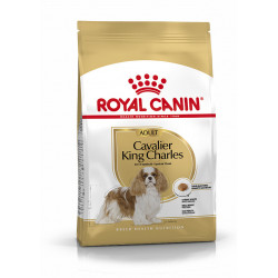 Cavalier King Charles Adult bhn 3kg - ROYAL CANIN 
